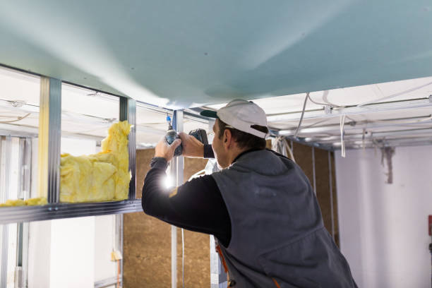Best Insulation Repair Services  in Jefferson, NC