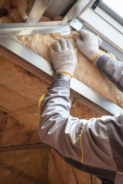 Best Insulation Contractor Near Me  in Jefferson, NC