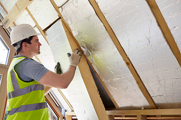 Best Insulation Inspection Services  in Jefferson, NC